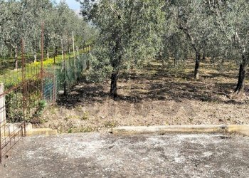 Giardino - Terreno edificabile Contrada Mezzanella, Manfredonia - foto 10