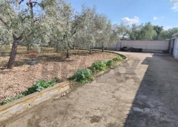 Giardino - Terreno edificabile Contrada Mezzanella, Manfredonia - foto 11