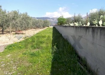 Giardino - Terreno edificabile Contrada Mezzanella, Manfredonia - foto 15