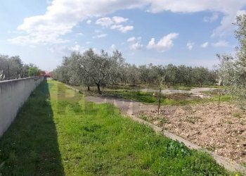 Giardino - Terreno edificabile Contrada Mezzanella, Manfredonia - foto 16