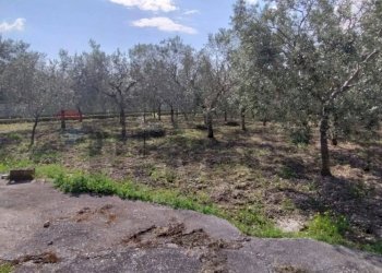 Giardino - Terreno edificabile Contrada Mezzanella, Manfredonia - foto 19