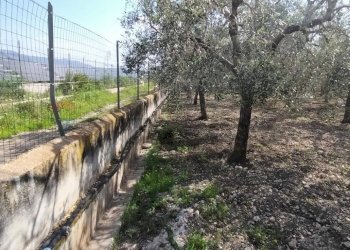 Giardino - Terreno edificabile Contrada Mezzanella, Manfredonia - foto 21