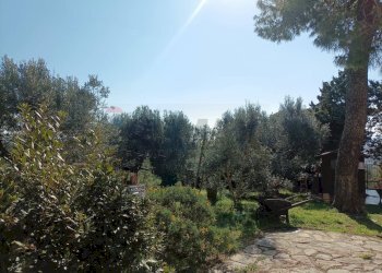 Giardino - Villa Piombino - photo 12