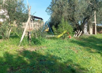 Giardino - Villa Piombino - photo 15