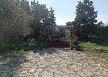 Giardino - Villa Piombino - photo 23