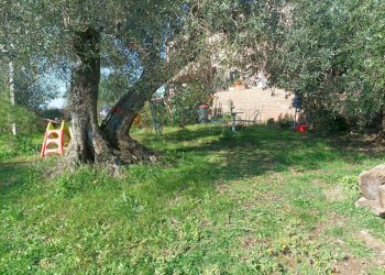Giardino - Villa Piombino - photo 31