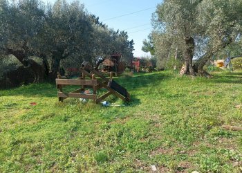 Giardino - Villa Piombino - photo 33