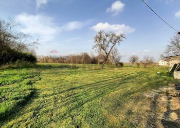 Giardino - Casa semi indipendente Via Rasega
 
75, Grumolo delle Abbadesse - foto 15