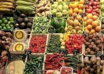 Foto 4 - Attività Commerciale Latina - foto 4