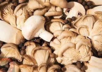 Foto 5 - Attività Commerciale Latina - foto 5