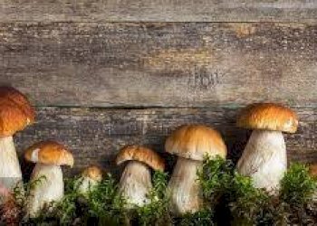 Foto 6 - Attività Commerciale Latina - foto 6