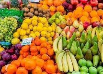 Foto 8 - Attività Commerciale Latina - foto 8