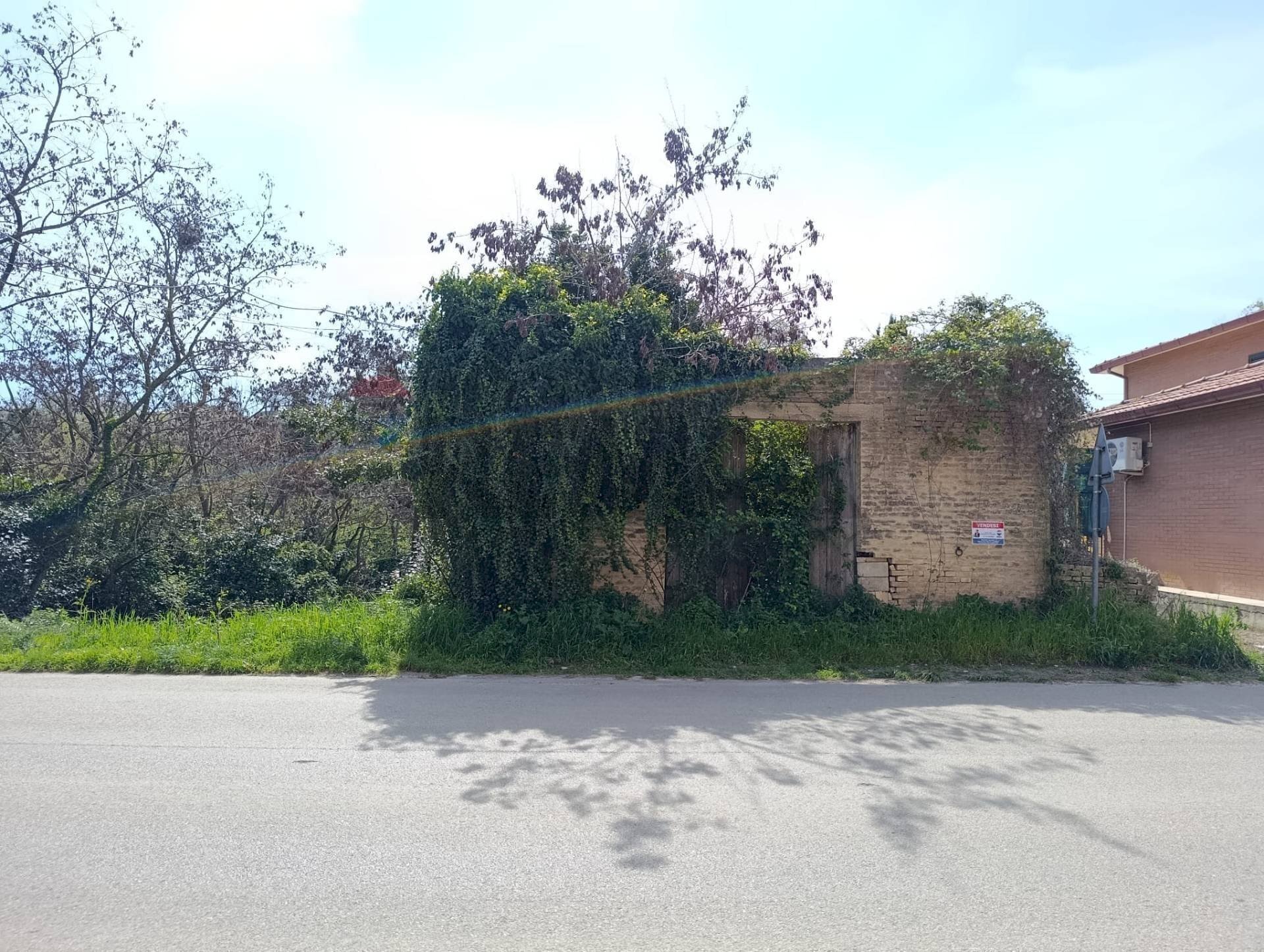 Giardino - Terreno agricolo contrada riccio brecciara
 
snc, Ortona - foto 1