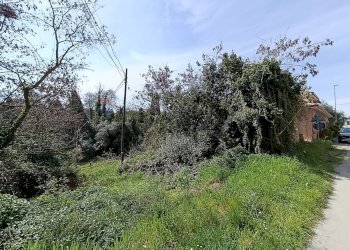 Giardino - Terreno agricolo contrada riccio brecciara
 
snc, Ortona - foto 6
