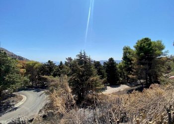 Foto 51 - Villa Stradale Bellolampo
 
4700, Palermo - photo 51