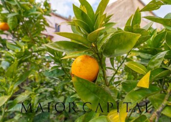 Foto 23 - Villa a Schiera Via Rino Canalis
 
snc, Tula - foto 23