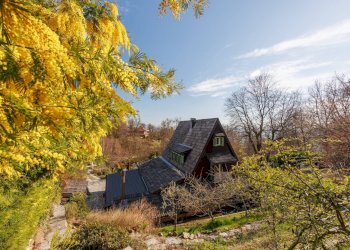 Foto 38 - Villa Strada della Vetta, Pecetto Torinese - photo 38