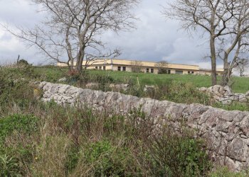 Giardino - Commercial Premises C.da Cimillà, Ragusa - photo 33