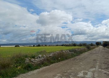 Vista delle montagne - Terreno agricolo C/da Piraino
 
s.n, Chiaramonte Gulfi - foto 11