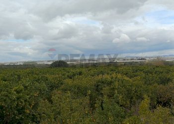 Edificio all\'aperto - Terreno agricolo C/da Piraino
 
s.n, Chiaramonte Gulfi - foto 16