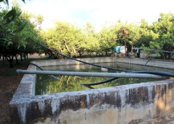 Edificio all\'aperto - Terreno agricolo C/da Piraino
 
s.n, Chiaramonte Gulfi - foto 27