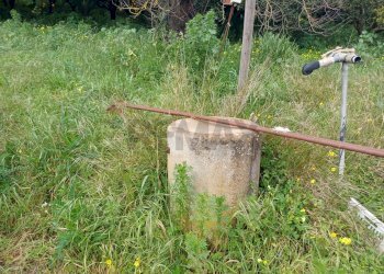Giardino - Terreno agricolo C/da Piraino
 
s.n, Chiaramonte Gulfi - foto 32