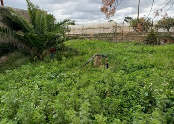 Giardino - Villa C/da Piraino, Chiaramonte Gulfi - foto 16