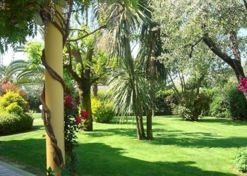 Giardino - Villa Montignoso - photo 18