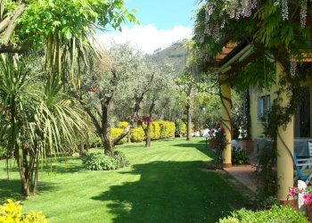Giardino - Villa Montignoso - photo 19
