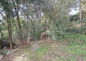 Foto 87 - Villa FRAZIONE MONTICELLI
 
247, Ascoli Piceno - photo 87