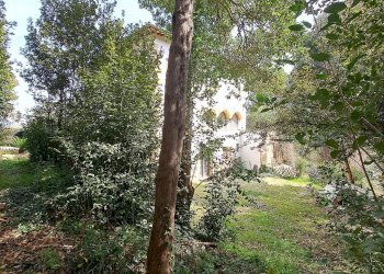 Foto 93 - Villa FRAZIONE MONTICELLI
 
247, Ascoli Piceno - photo 93