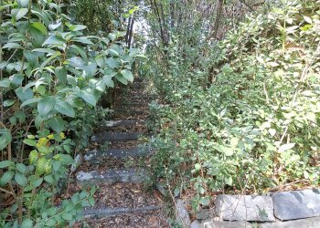 Foto 96 - Villa FRAZIONE MONTICELLI
 
247, Ascoli Piceno - photo 96