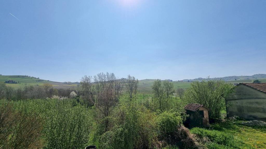 Terreno - Rustic strada Provinciale del Turchino, Nizza Monferrato - photo 2