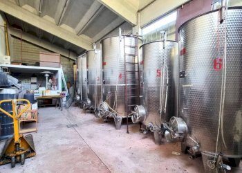 Interno non residenziale - Rustico strada Provinciale del Turchino, Nizza Monferrato - foto 20