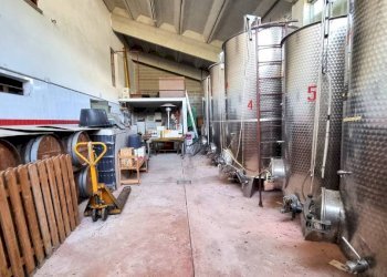 Interno non residenziale - Rustico strada Provinciale del Turchino, Nizza Monferrato - foto 23