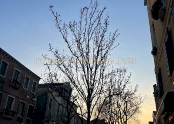 Zona - Monolocale Giudecca, Venezia (zona Giudecca) - foto 12