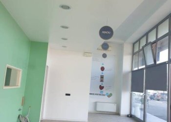 Ingresso - Negozio via Robert Koch, 11, Parma - foto 10