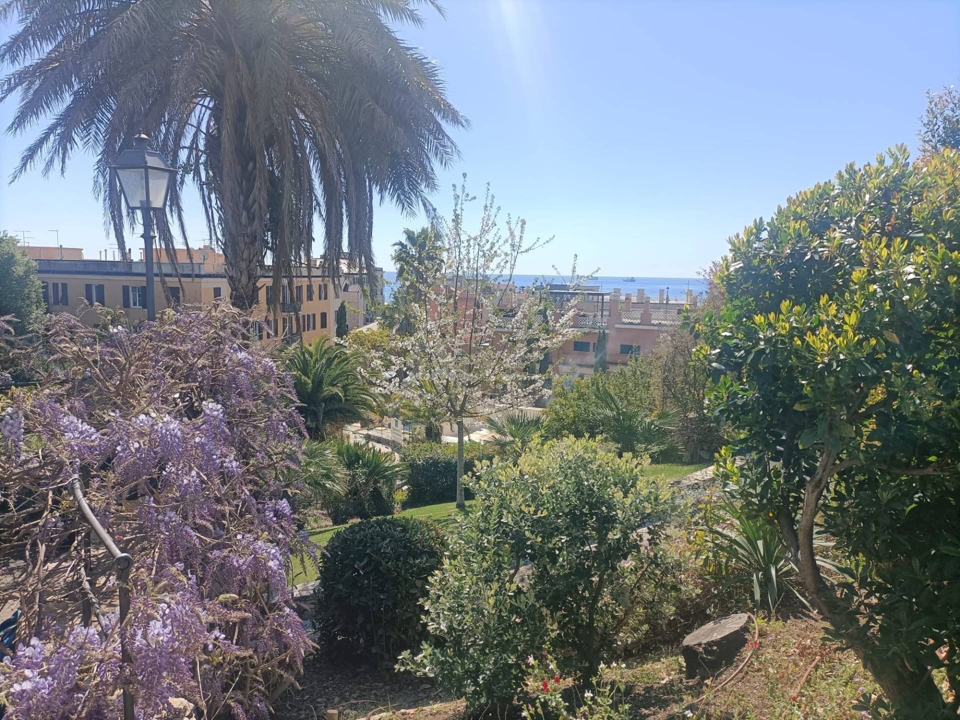 Foto 3 - Villa Via Sforza, Genova - foto 3