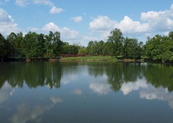 Zona - Terreno agricolo via Pralormo, 315, Carmagnola - foto 16