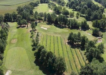 Vista - Terreno agricolo via Pralormo, 315, Carmagnola - foto 18