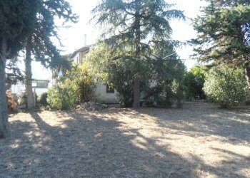 Foto 2 - Independent house Contrada Sant'Egidio, Monsampolo del Tronto - photo 2