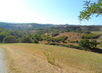 Foto 14 - Independent house Contrada Sant'Egidio, Monsampolo del Tronto - photo 14