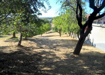 Foto 15 - Independent house Contrada Sant'Egidio, Monsampolo del Tronto - photo 15