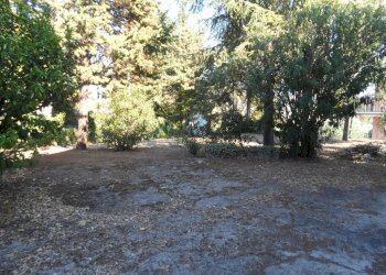 Foto 17 - Independent house Contrada Sant'Egidio, Monsampolo del Tronto - photo 17