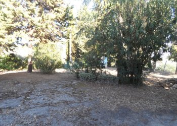 Foto 27 - Independent house Contrada Sant'Egidio, Monsampolo del Tronto - photo 27