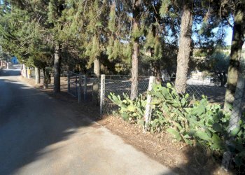 Foto 32 - Independent house Contrada Sant'Egidio, Monsampolo del Tronto - photo 32