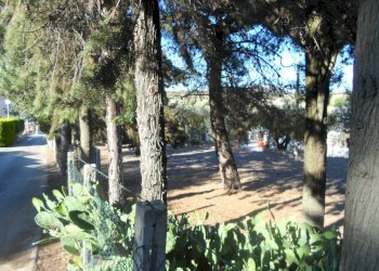 Foto 33 - Independent house Contrada Sant'Egidio, Monsampolo del Tronto - photo 33