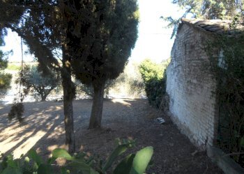 Foto 34 - Independent house Contrada Sant'Egidio, Monsampolo del Tronto - photo 34