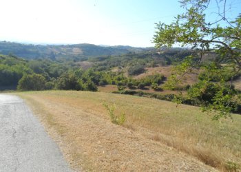 Foto 35 - Independent house Contrada Sant'Egidio, Monsampolo del Tronto - photo 35