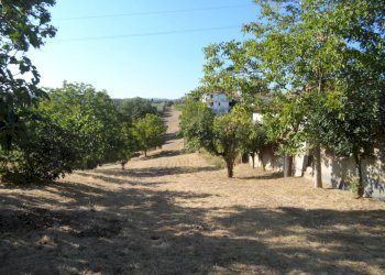 Foto 36 - Independent house Contrada Sant'Egidio, Monsampolo del Tronto - photo 36